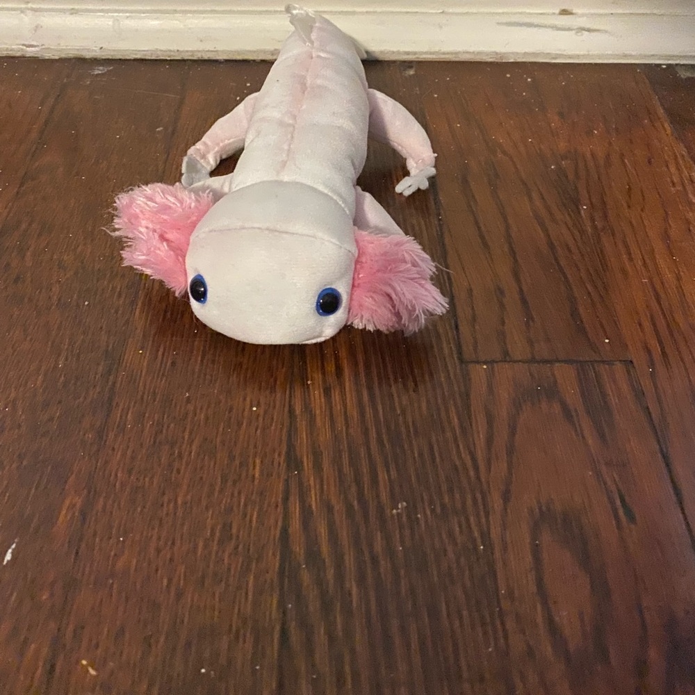 axolotl